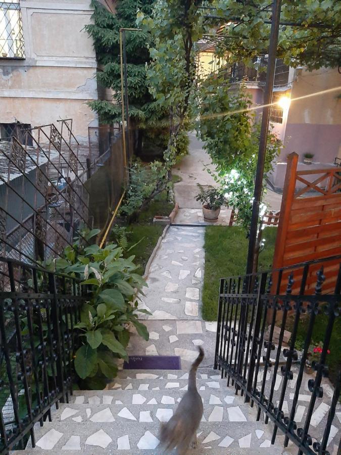 Piccola Italia Casa Racovita Affittacamere